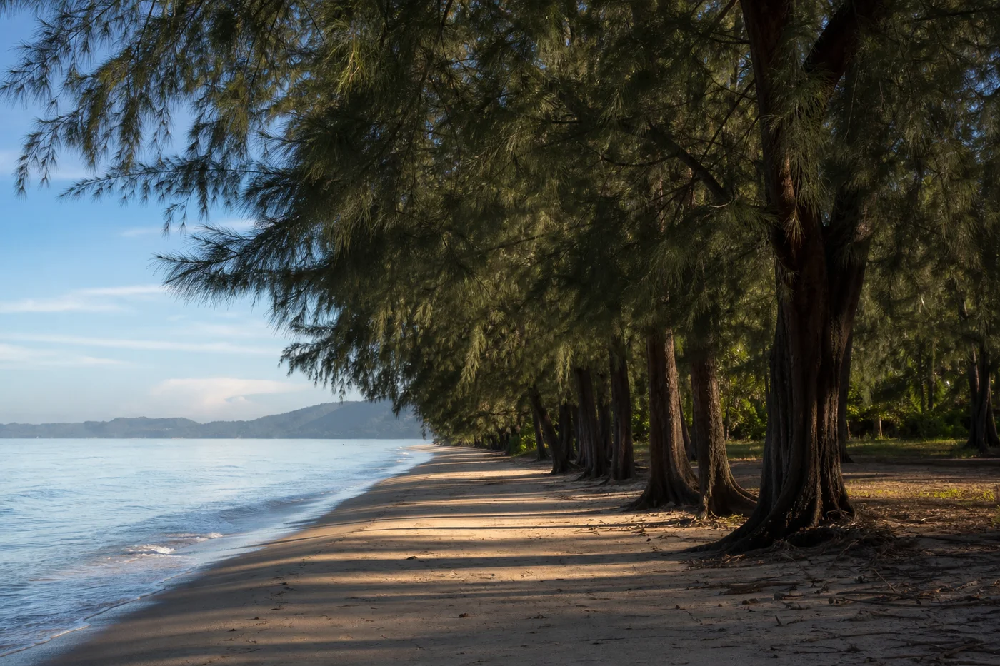 Quiet tropical beach with casuarina trees lining the shore in Hua Hin morning light serene atmosphere